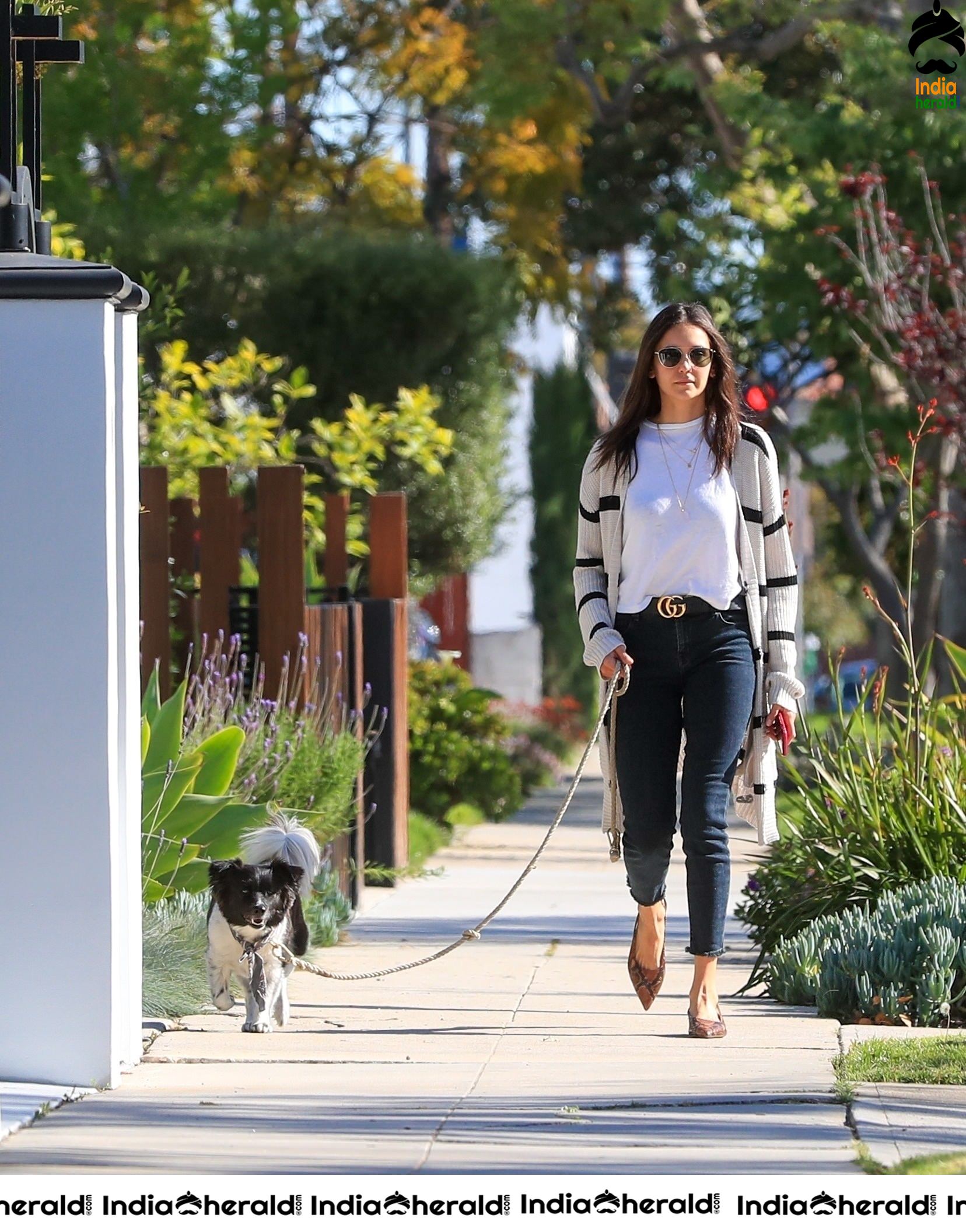 Nina Dobrev looking gorgeous while out for a walk with Maverick in LA