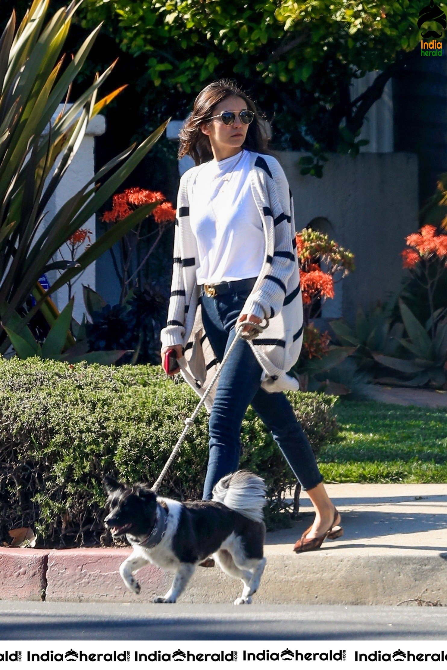 Nina Dobrev looking gorgeous while out for a walk with Maverick in LA