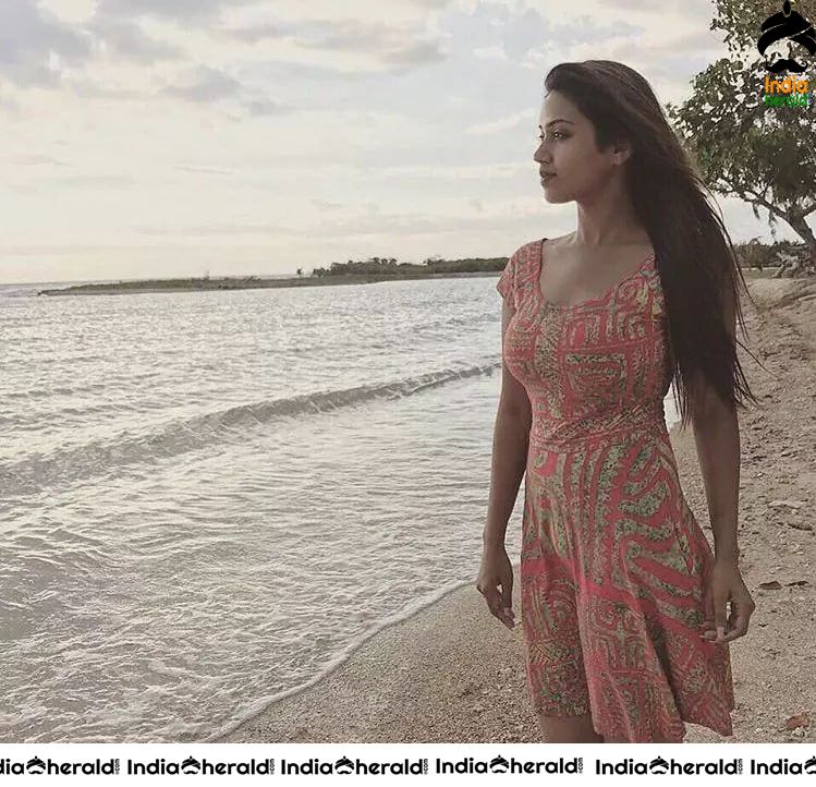 Nivetha Pethuraj Latest Hot Compilation Photos Set 2