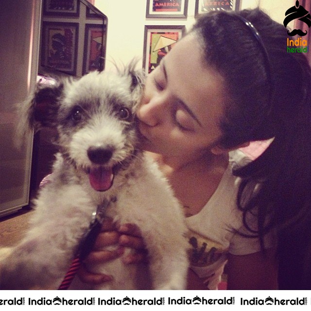 Off Screen Gorgeous and Sexy Photos of Trish Krish Set 2