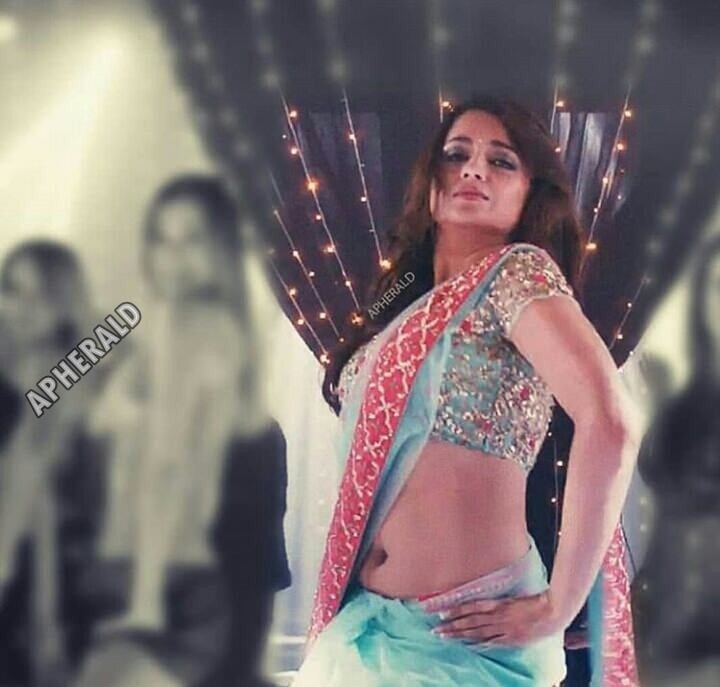 Oops Hot Mood Erecting Unseen photos of Trisha captured on screen