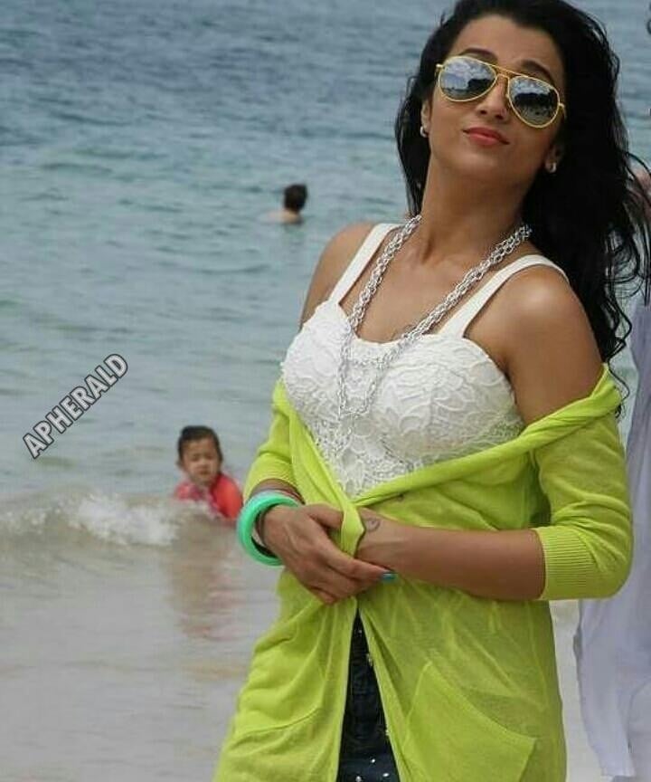 Oops Hot Mood Erecting Unseen photos of Trisha captured on screen