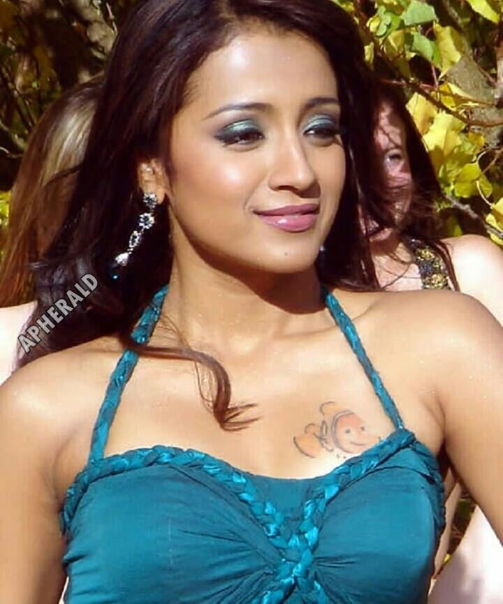 Oops Hot Mood Erecting Unseen photos of Trisha captured on screen