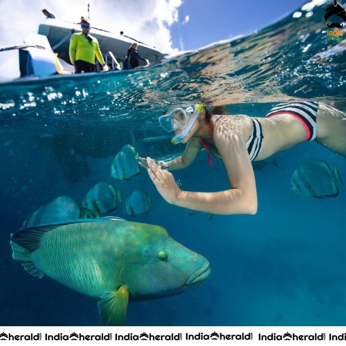 Parineeti Chopra Sizzling Hot Latest Photos Set 2