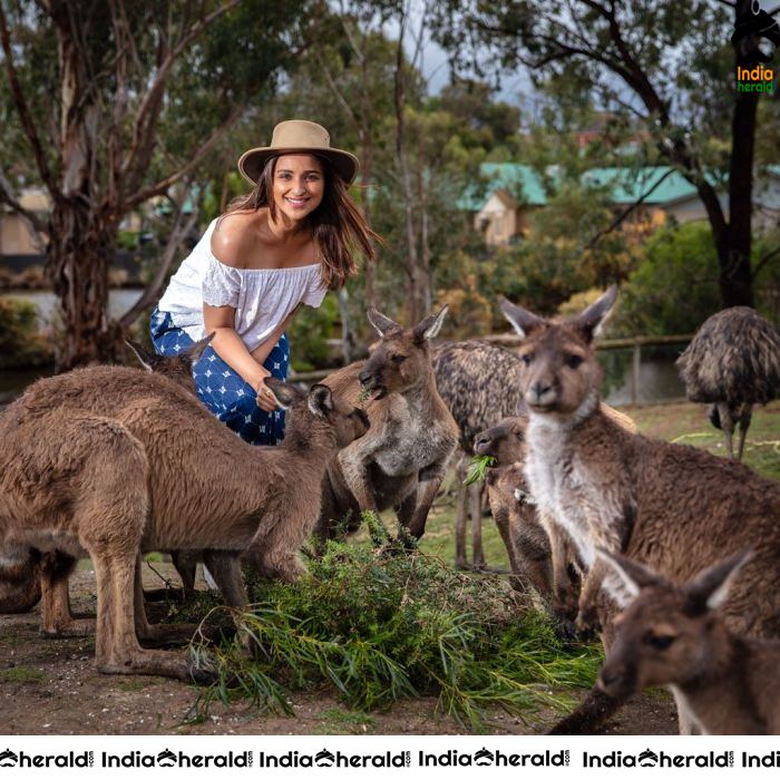 Parineeti Chopra Sizzling Hot Latest Photos Set 2