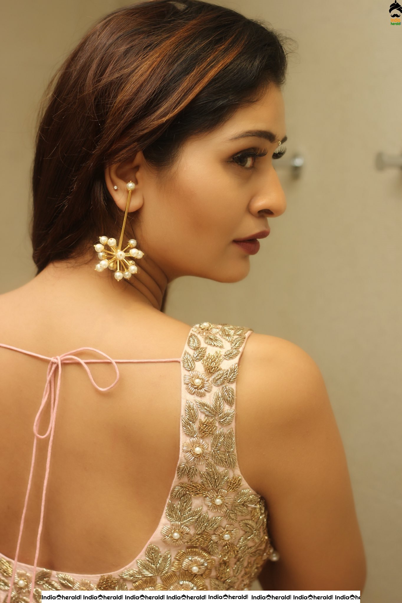 Payal Rajput Hot Photos Collection which will spice up your day Set 2