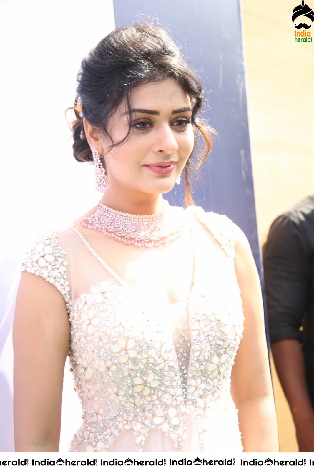 Payal Rajput Latest Tempting Photos Collection