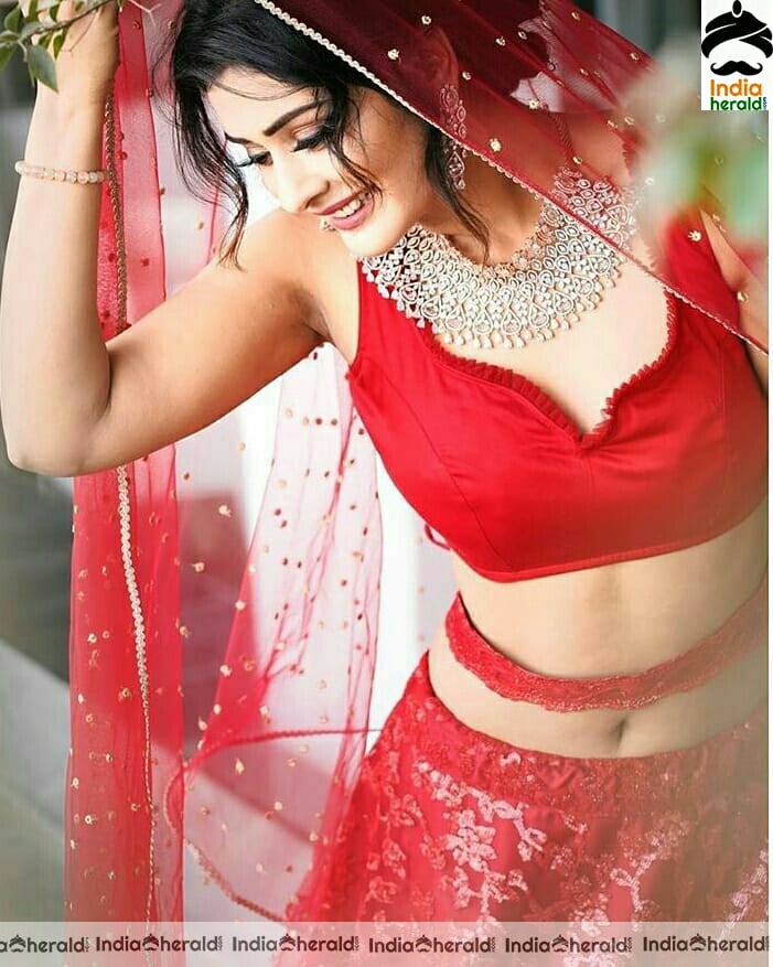 Payal Rajput Red Hot Waist and Navel Photos