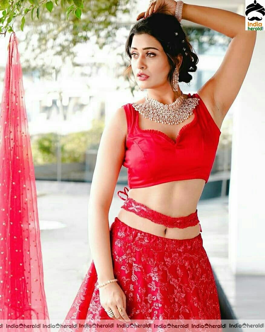 Payal Rajput Red Hot Waist and Navel Photos