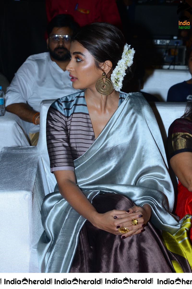 Pooja Hegde Cute in Saree at AV Success Celebrations Set 2
