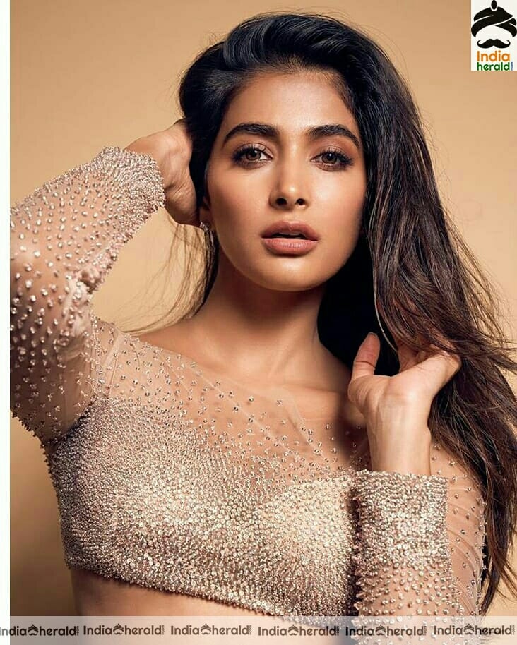 Pooja Hegde Hot Golden Photoshoot Stills