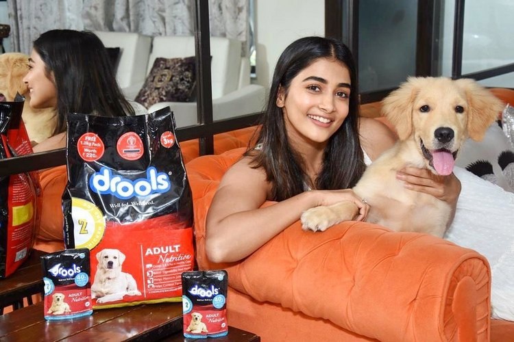 Pooja Hegde Latest Insta Clicks