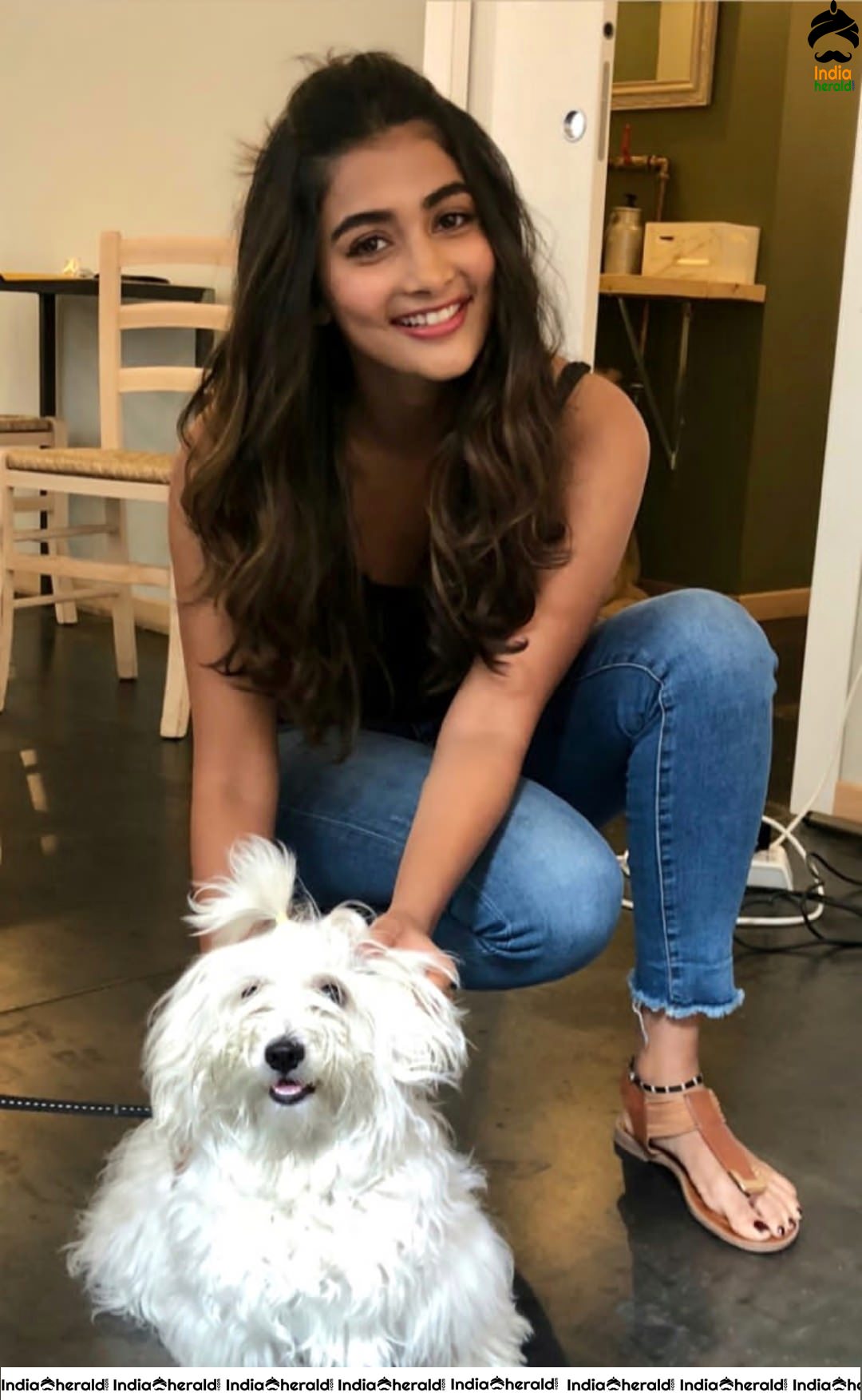 Pooja HegdeLatest Hot Clicks and Cute clicks with her Husky