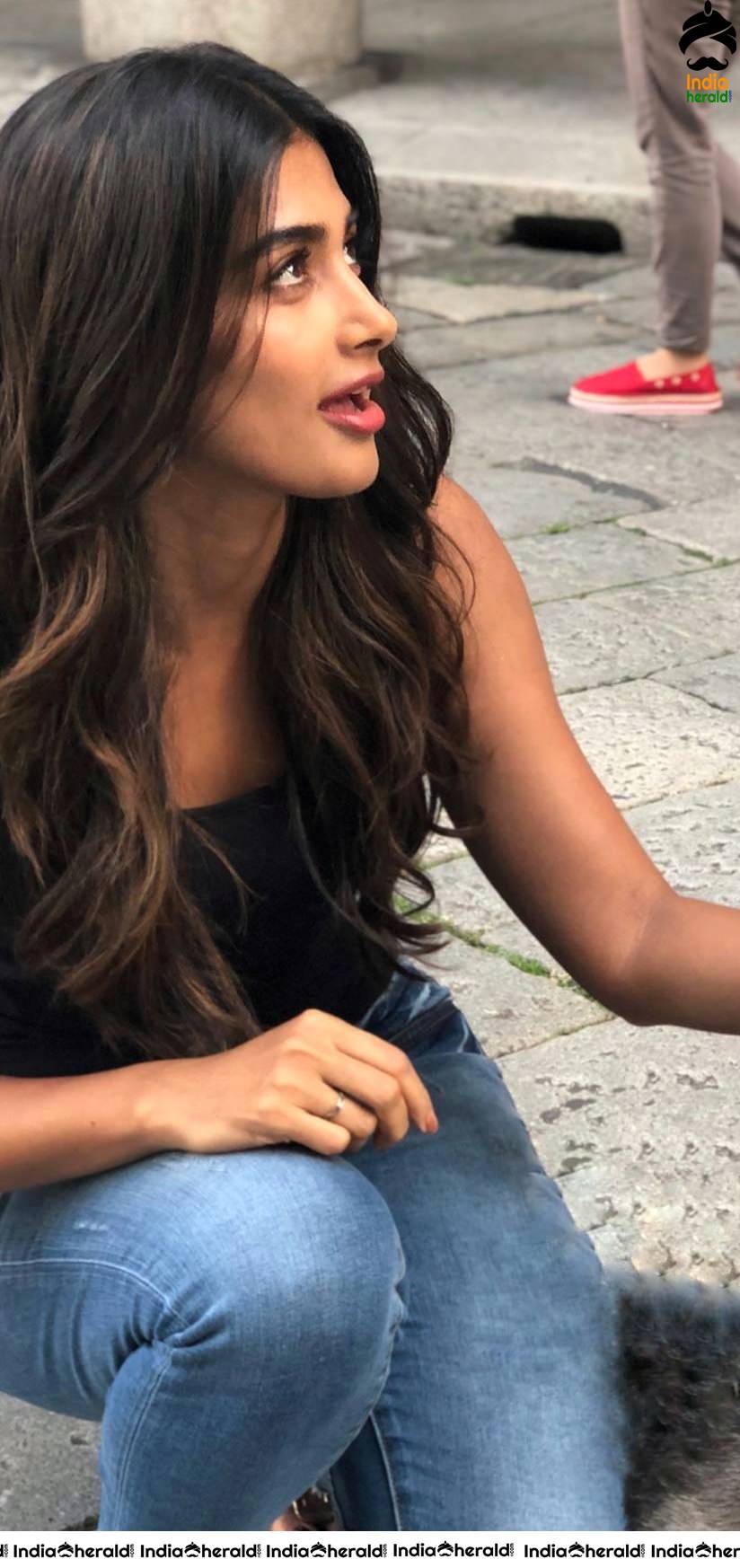 Pooja HegdeLatest Hot Clicks and Cute clicks with her Husky