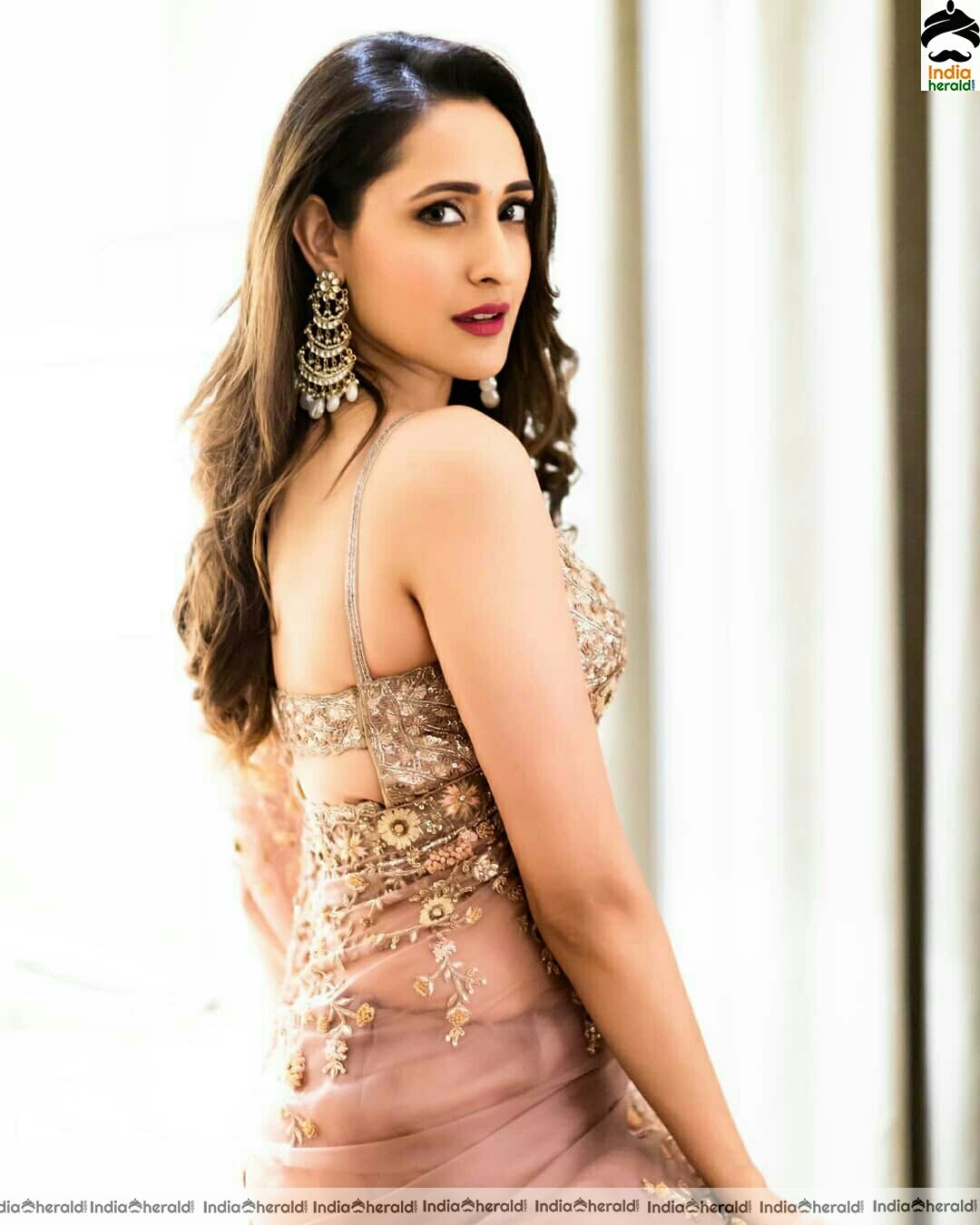 Pragya Jaiswal Hot Net Saree Stills