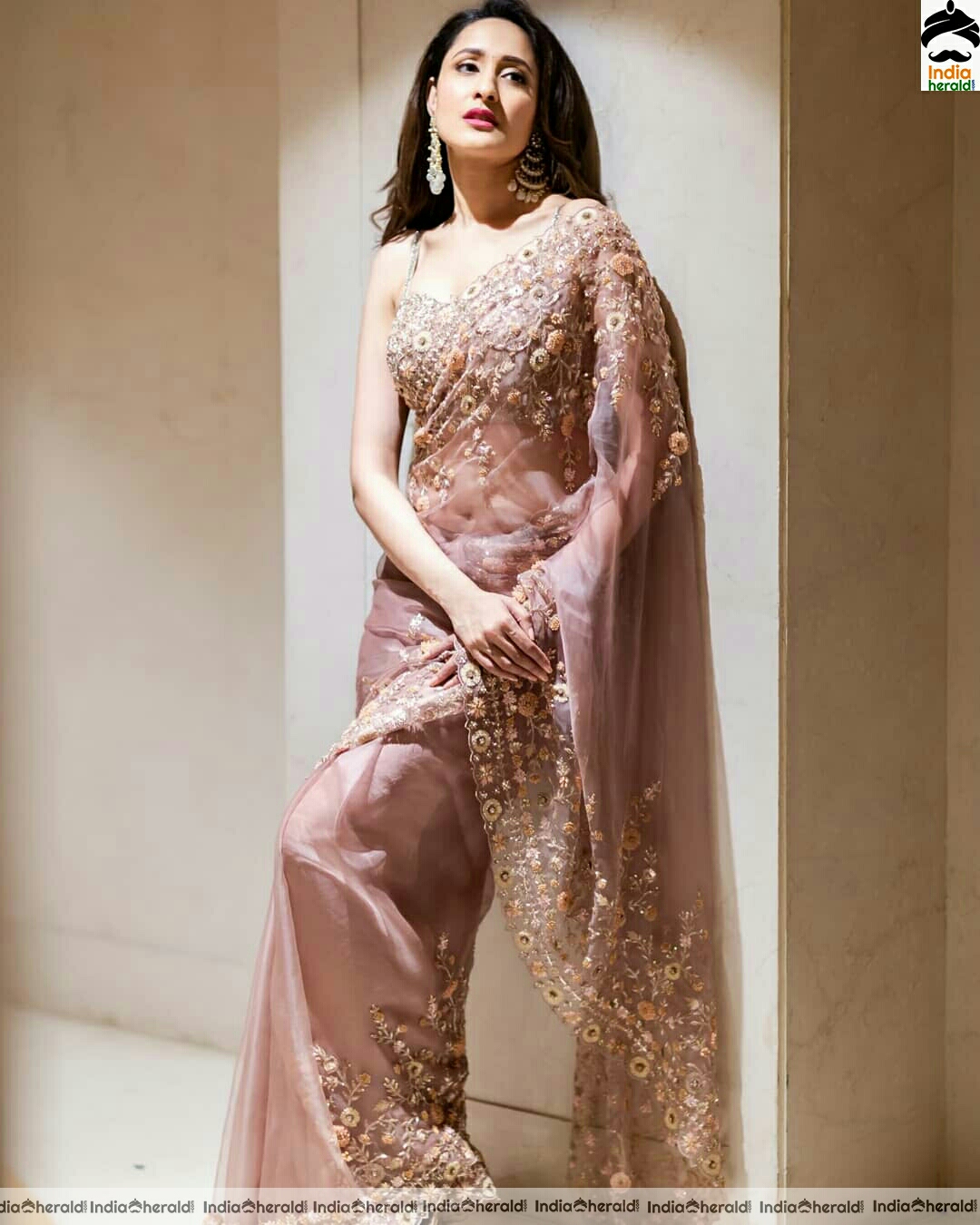 Pragya Jaiswal Hot Net Saree Stills