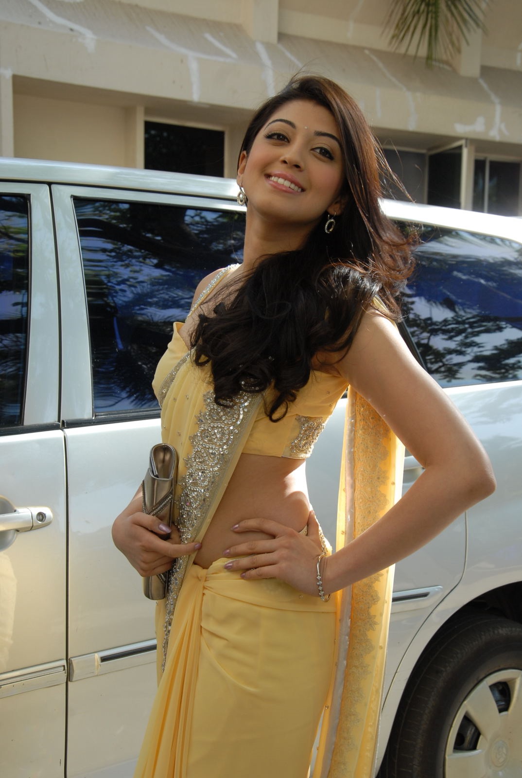 Pranitha Hot In Saree Showing Her Curves Set 1