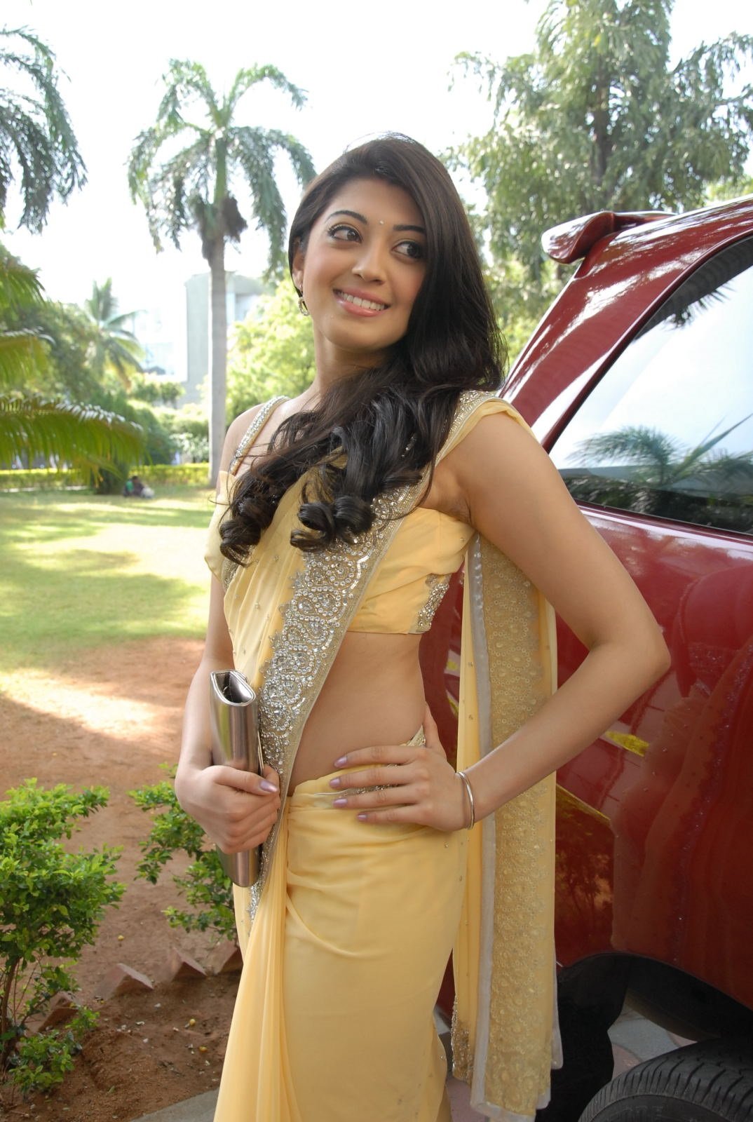 Pranitha Hot In Saree Showing Her Curves Set 2