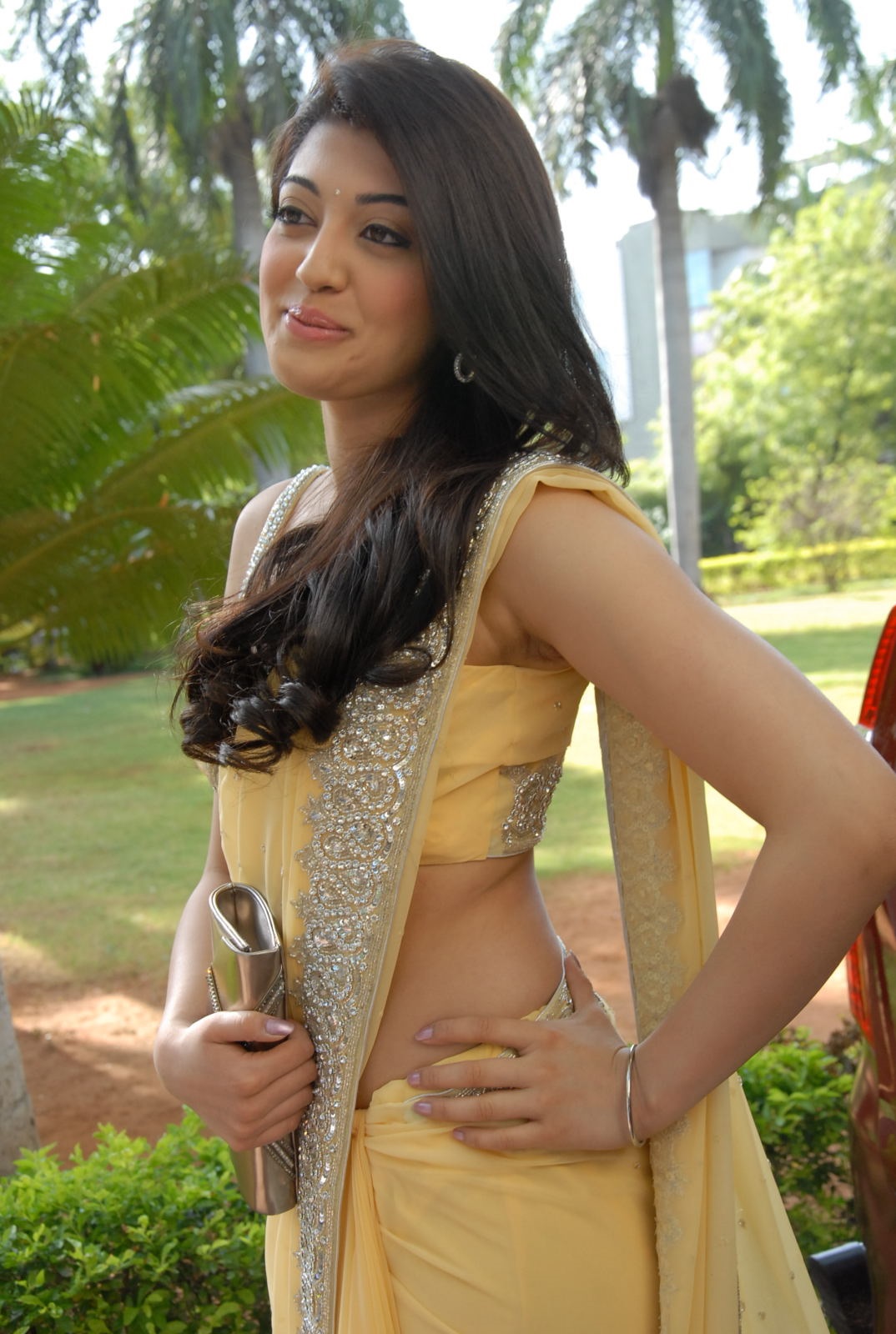 Pranitha Hot In Saree Showing Her Curves Set 2