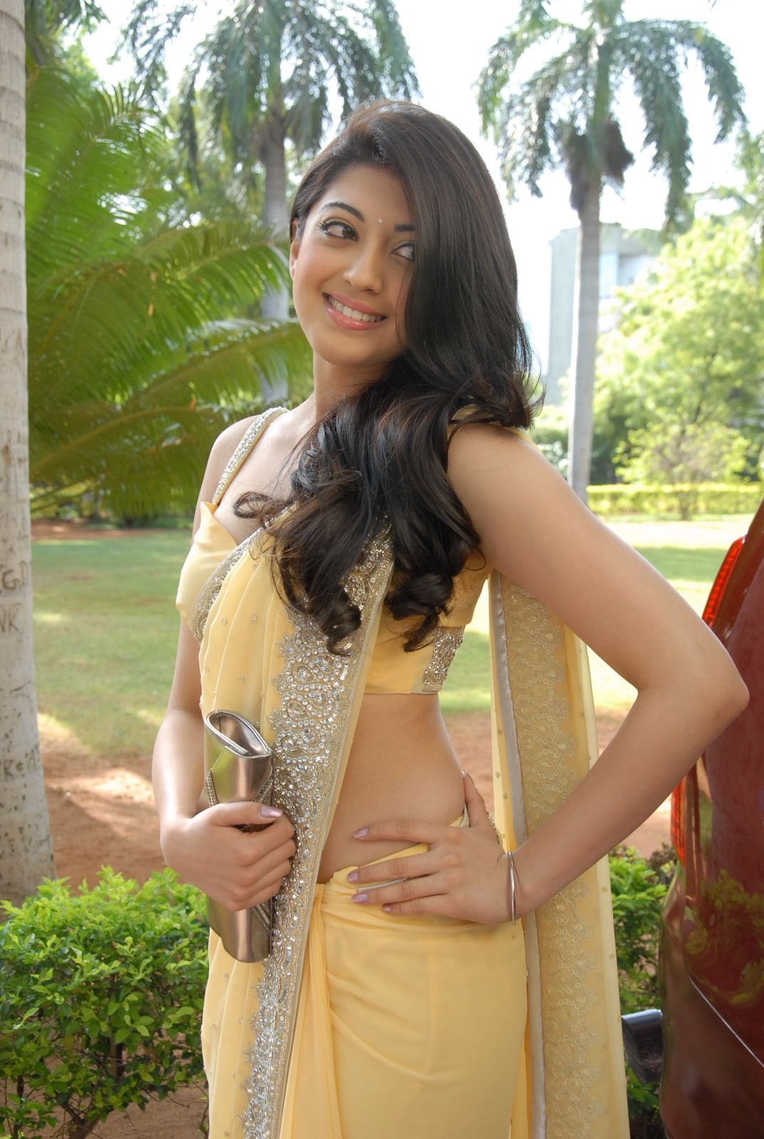 Pranitha Hot In Saree Showing Her Curves Set 2