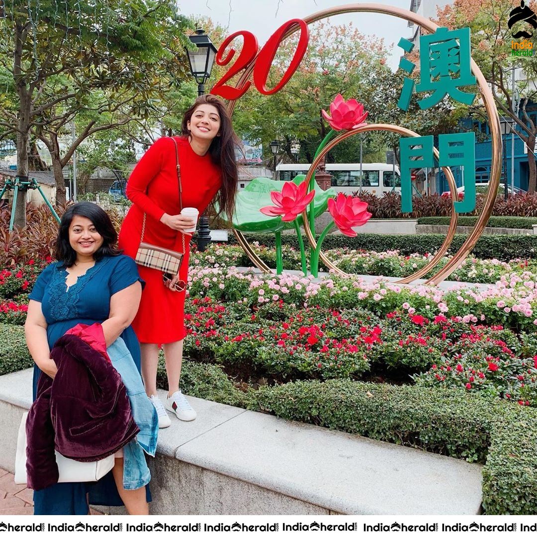 Pranitha Latest Hot and Adorable Photos Collection to blow you down Set 1