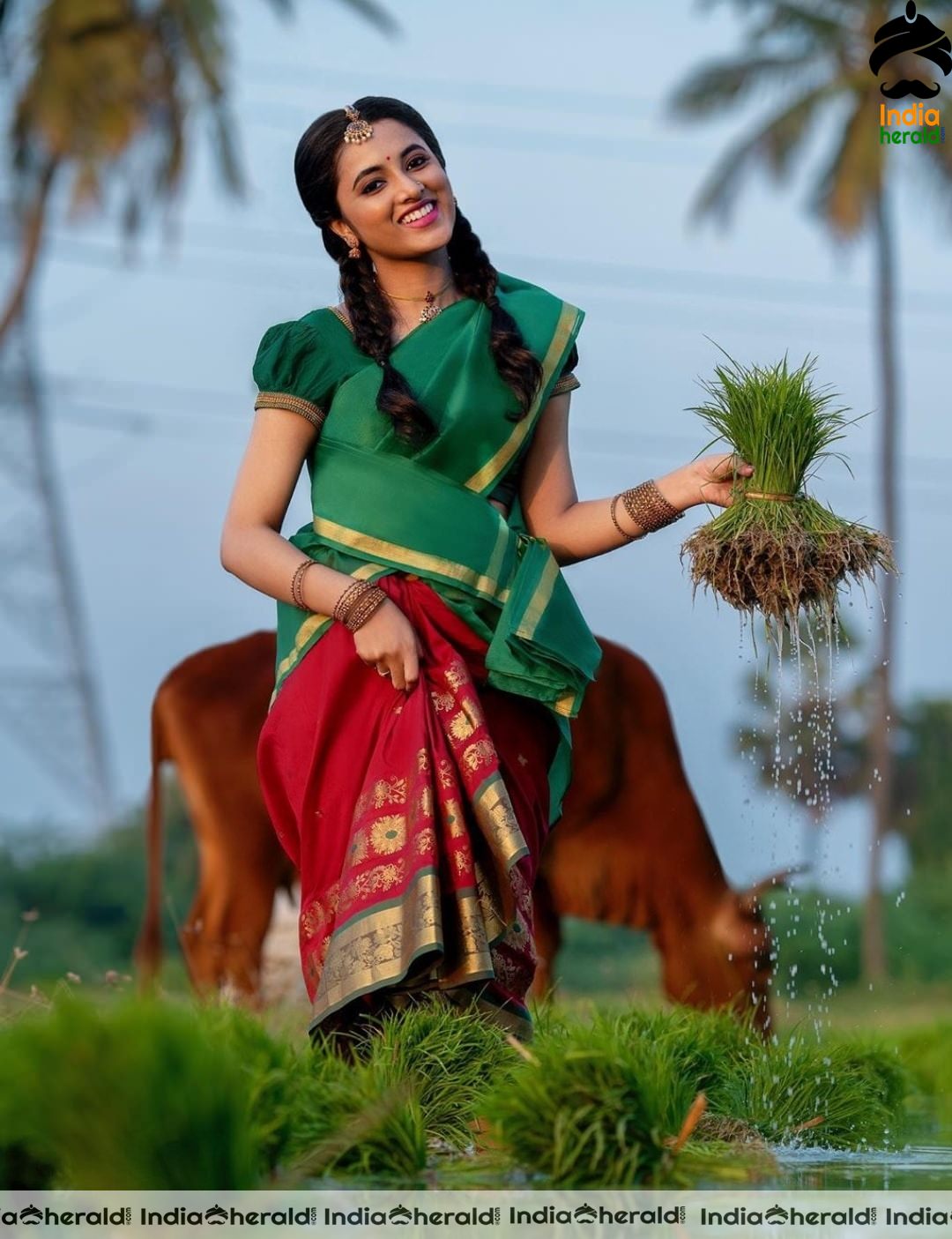 Pretty Priyanka Arul Mohan Rural and Traditional Photoshoot