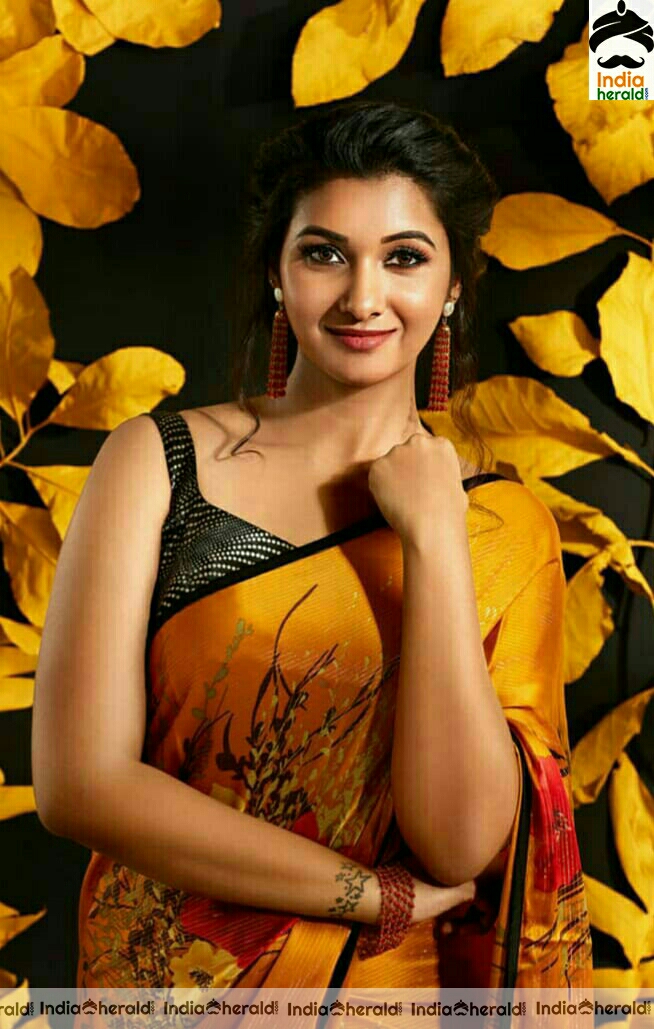 Priya Bhavani Shankar saree photos collection