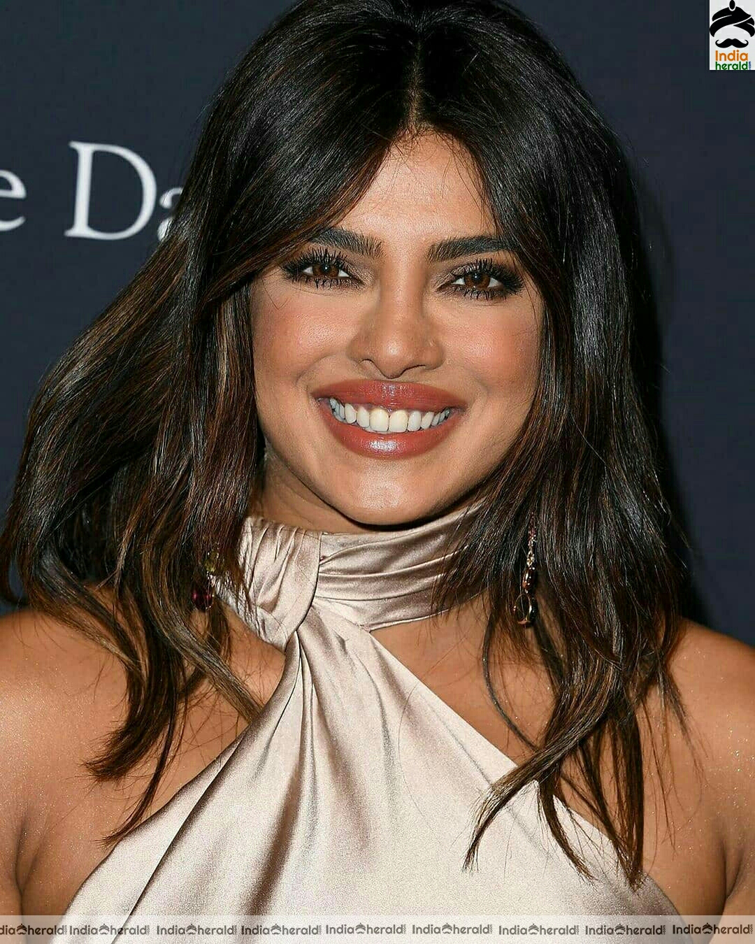 Priyanka chopra Hot And Sexy Photo Stills