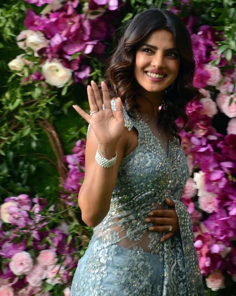 Priyanka Chopra Looking Hot In A Transparent Net lSaree