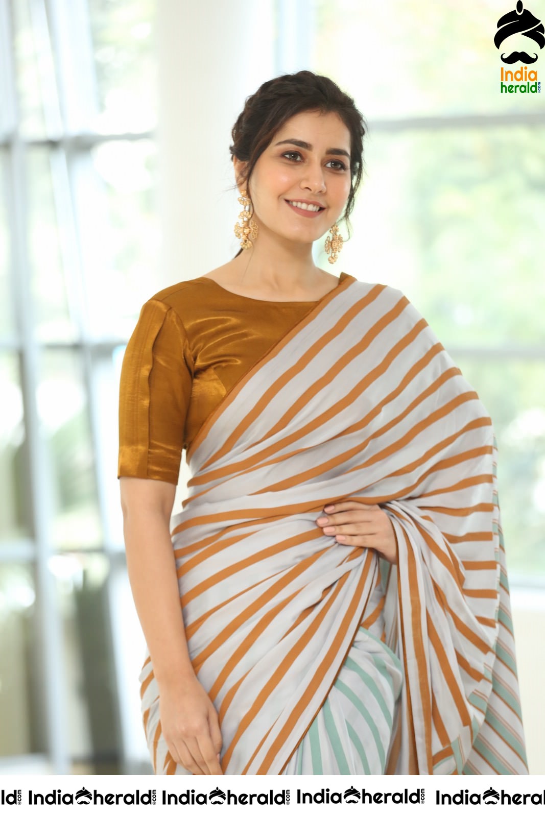 Raashi Khanna Looking Elegant in Recent Saree Photoshoot Set 2