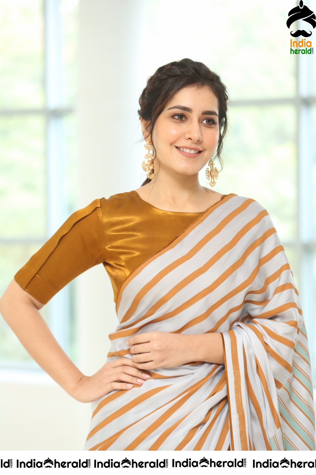 Raashi Khanna Looking Elegant in Recent Saree Photoshoot Set 2