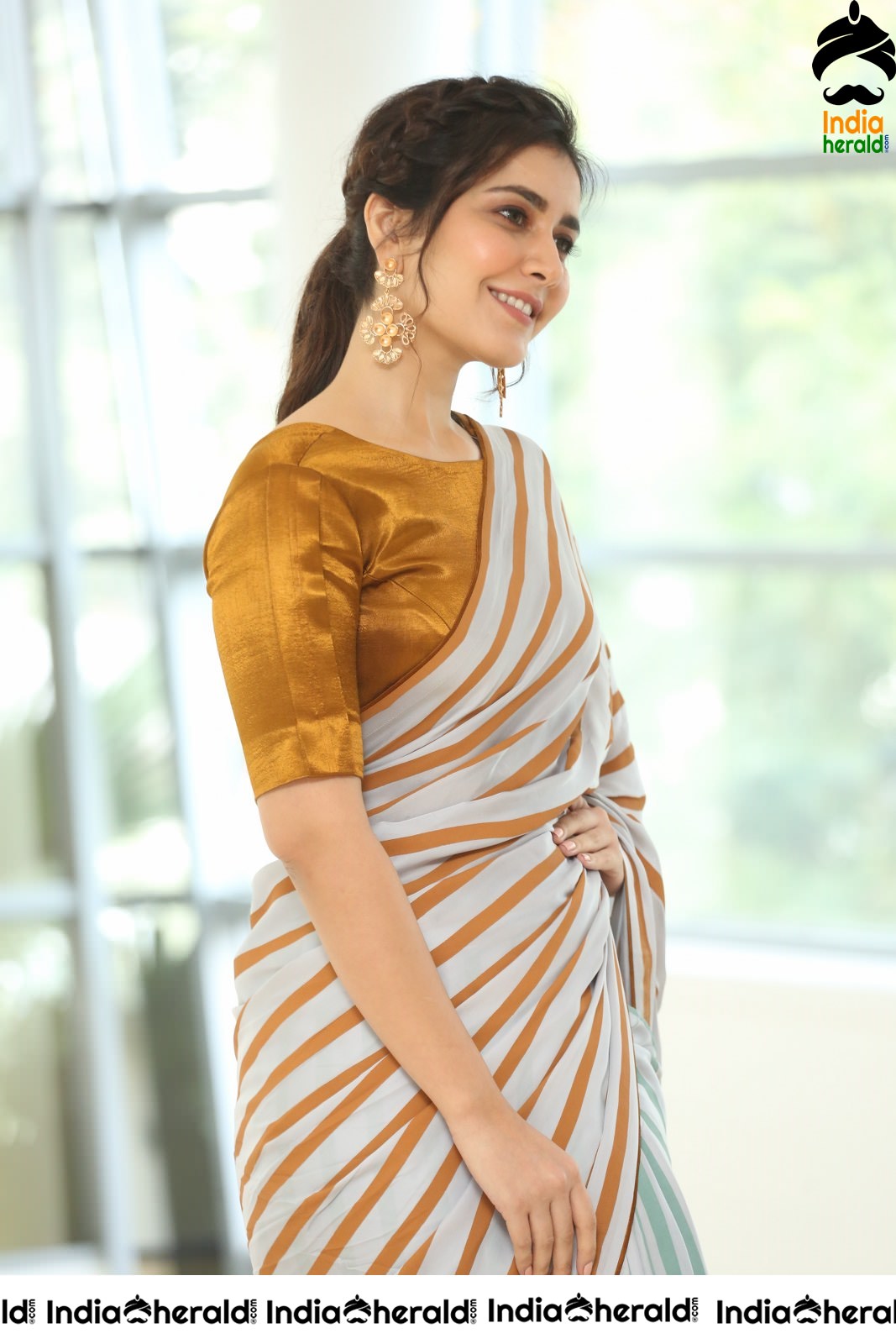 Raashi Khanna Looking Elegant in Recent Saree Photoshoot Set 2