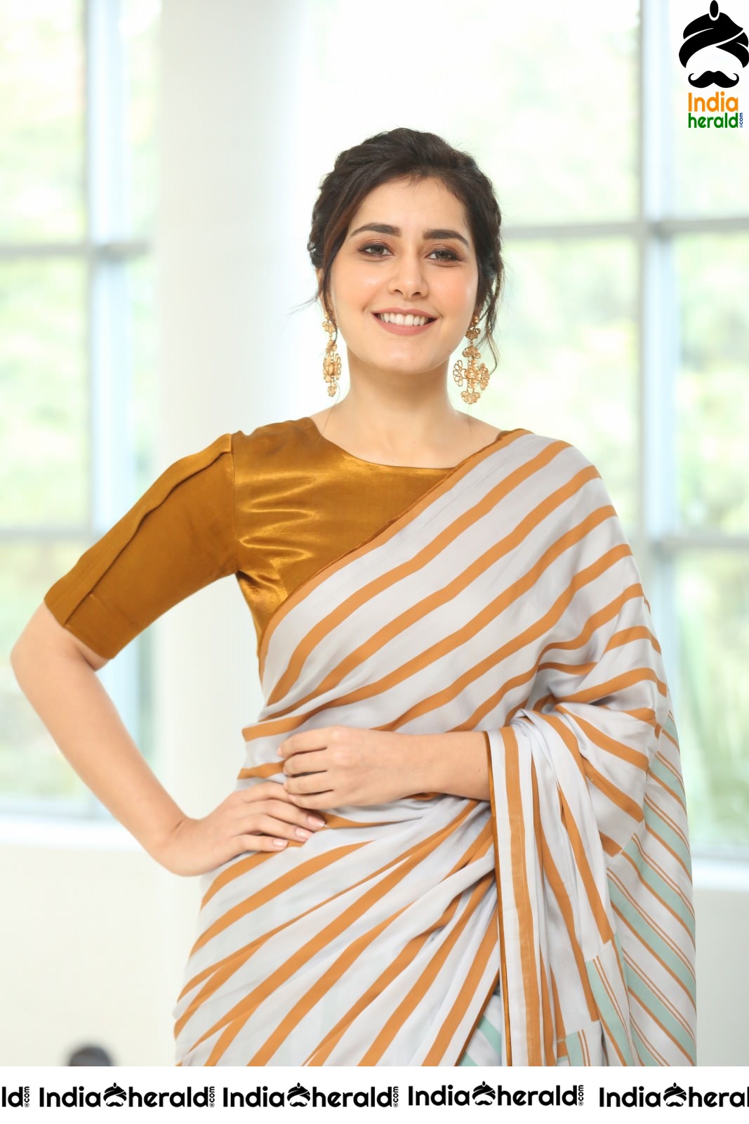 Raashi Khanna Looking Elegant in Recent Saree Photoshoot Set 2