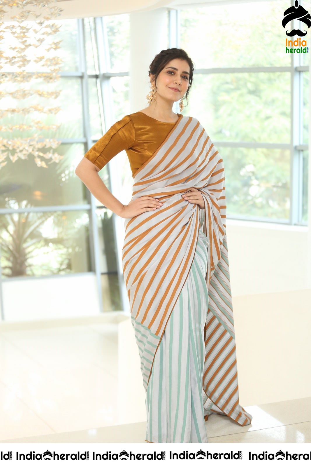 Raashi Khanna Looking Elegant in Recent Saree Photoshoot Set 2