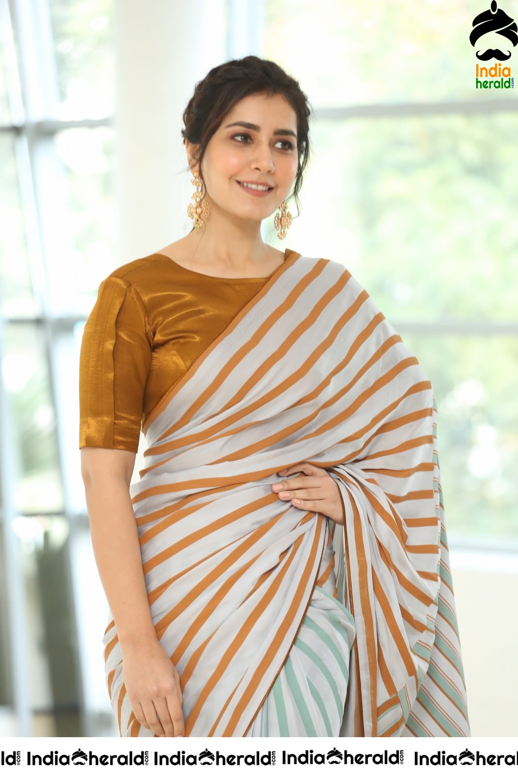 Raashi Khanna Looking Elegant in Recent Saree Photoshoot Set 2