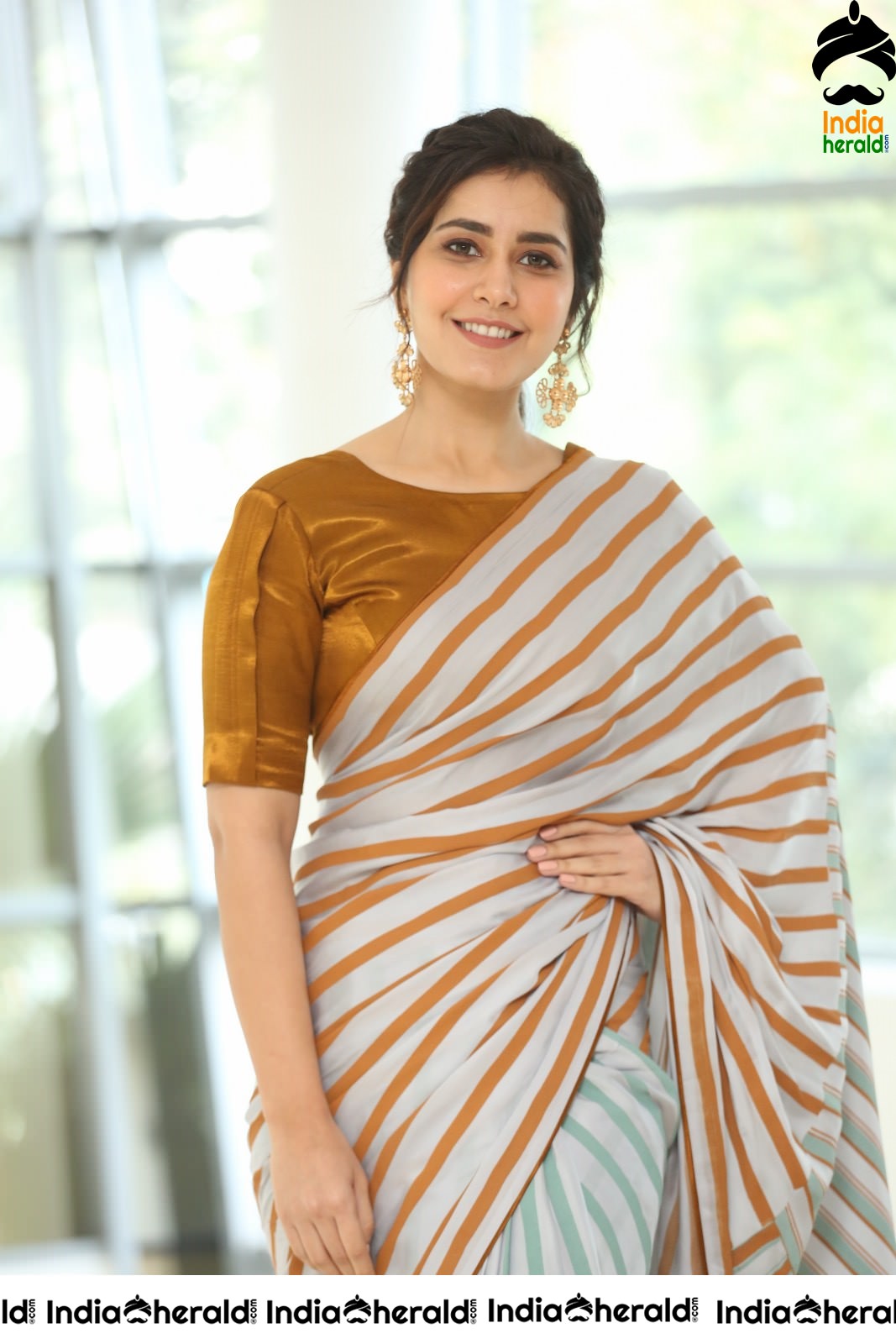 Raashi Khanna Looking Elegant in Recent Saree Photoshoot Set 2