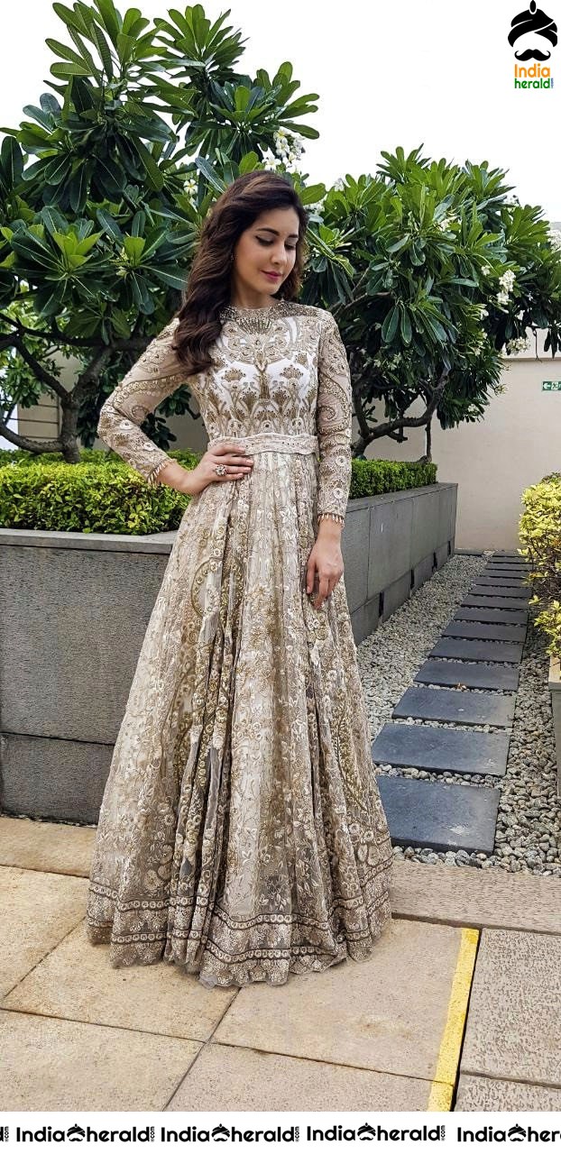 Raashi Khanna Looking like a Barbie Doll in these Photos