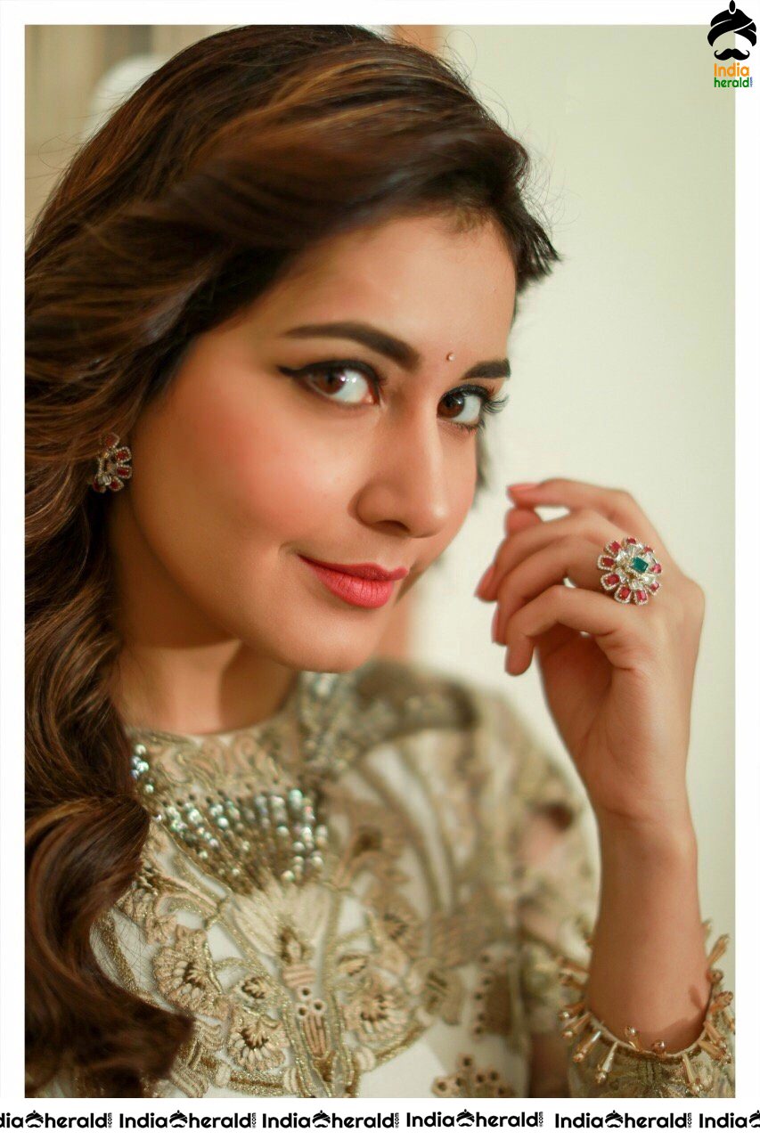 Raashi Khanna Looking like a Barbie Doll in these Photos