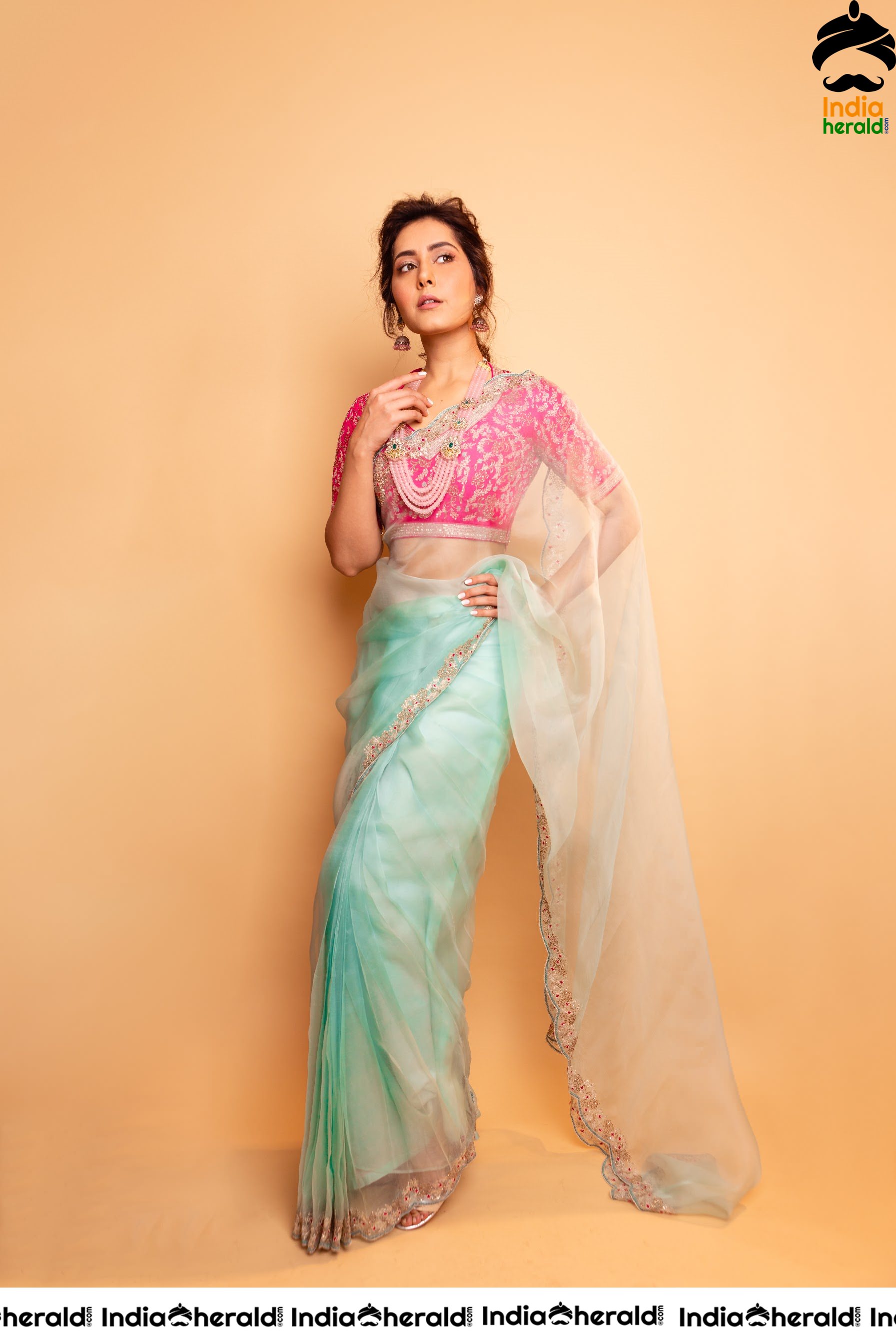 Raashi Khanna Looking Sexy And Hot In Latest Transparent Saree Photoshoot Set 1