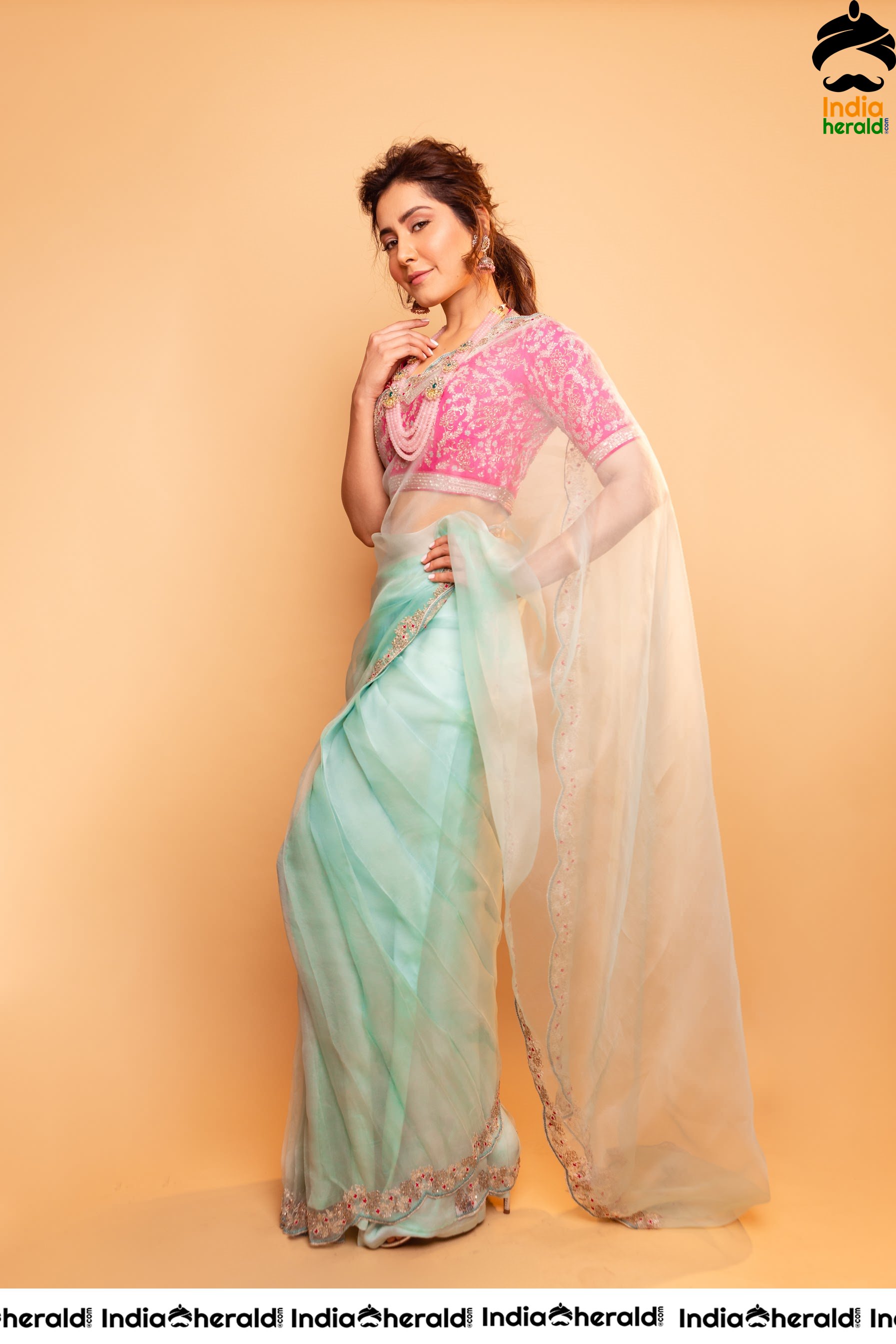 Raashi Khanna Looking Sexy And Hot In Latest Transparent Saree Photoshoot Set 1