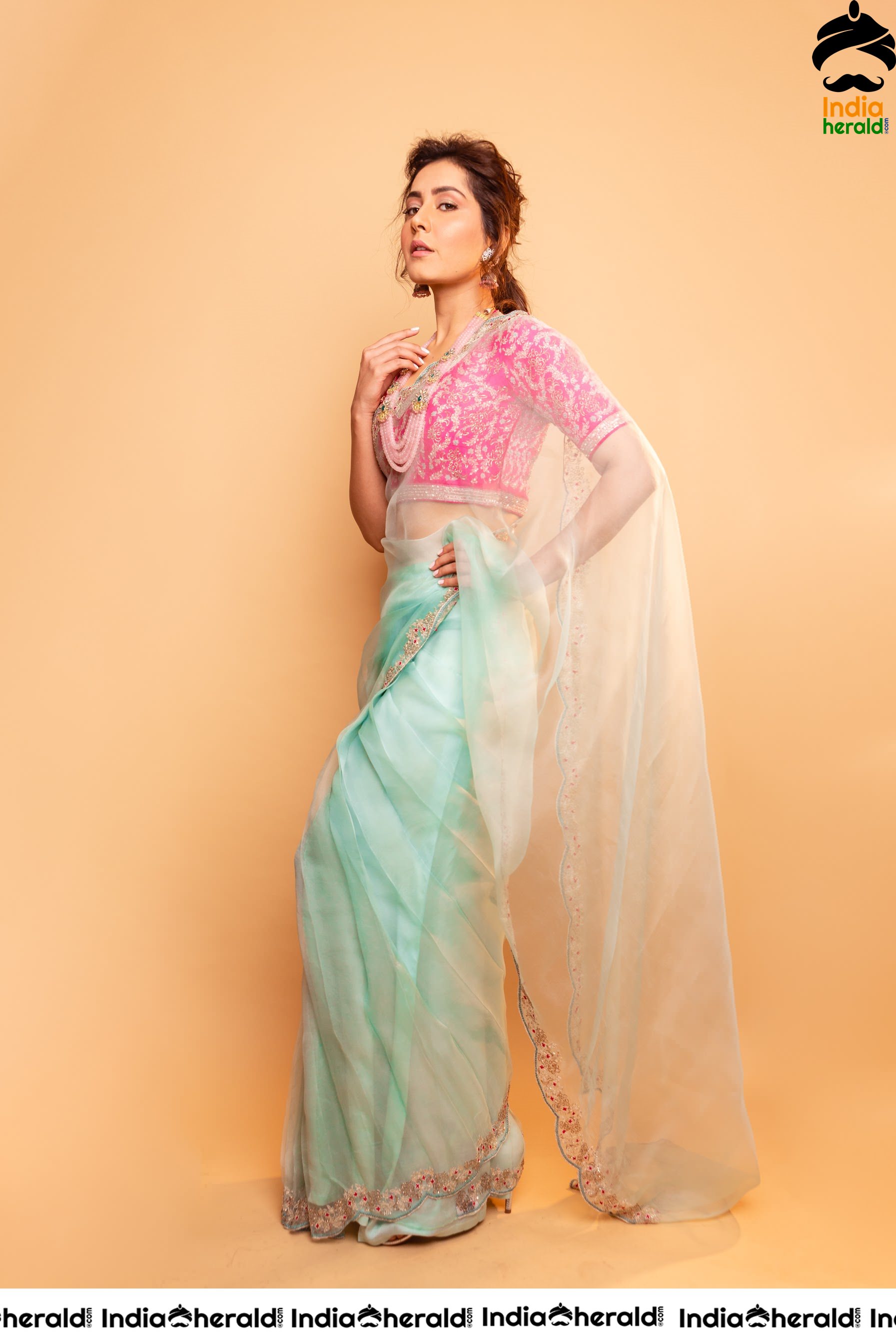Raashi Khanna Looking Sexy And Hot In Latest Transparent Saree Photoshoot Set 2