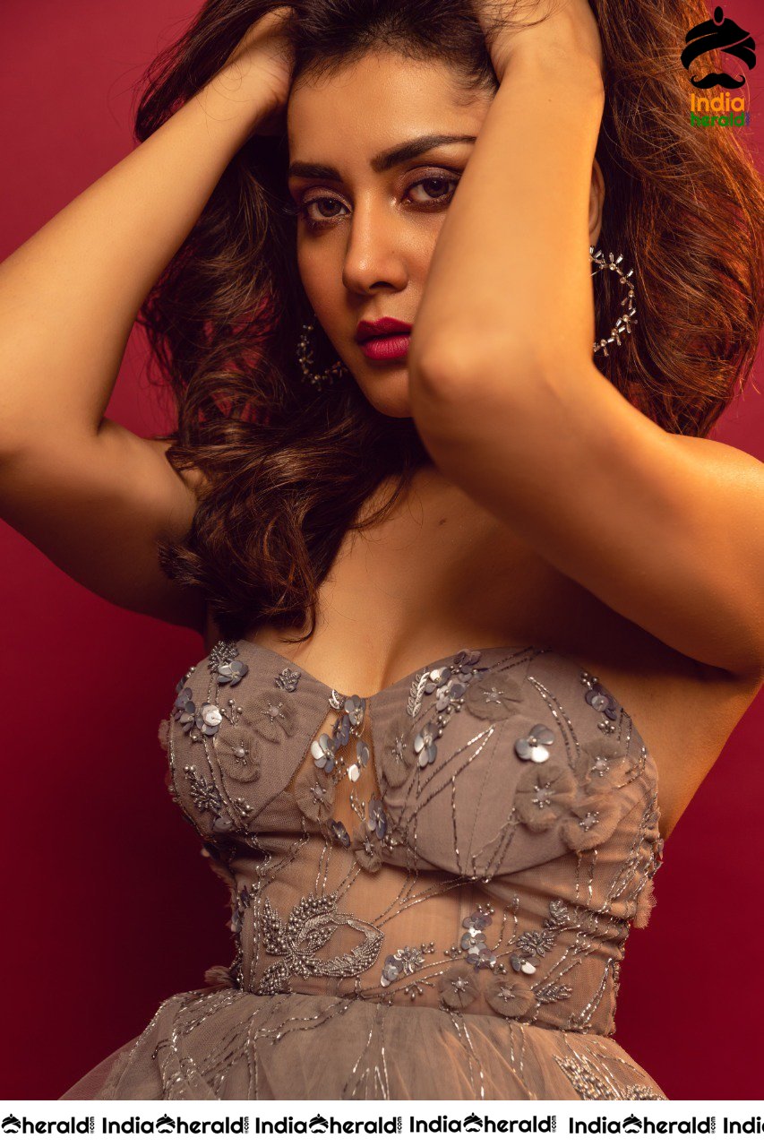 Raashi Khanna Looks Stunning In This Latest Hot Photoshoot Sizzling Stills