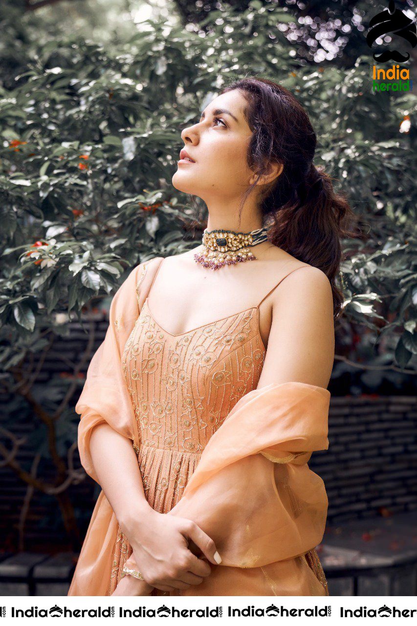 Raashi Khanna Ravishingly Hot and Mood Erecting Photos Set 1