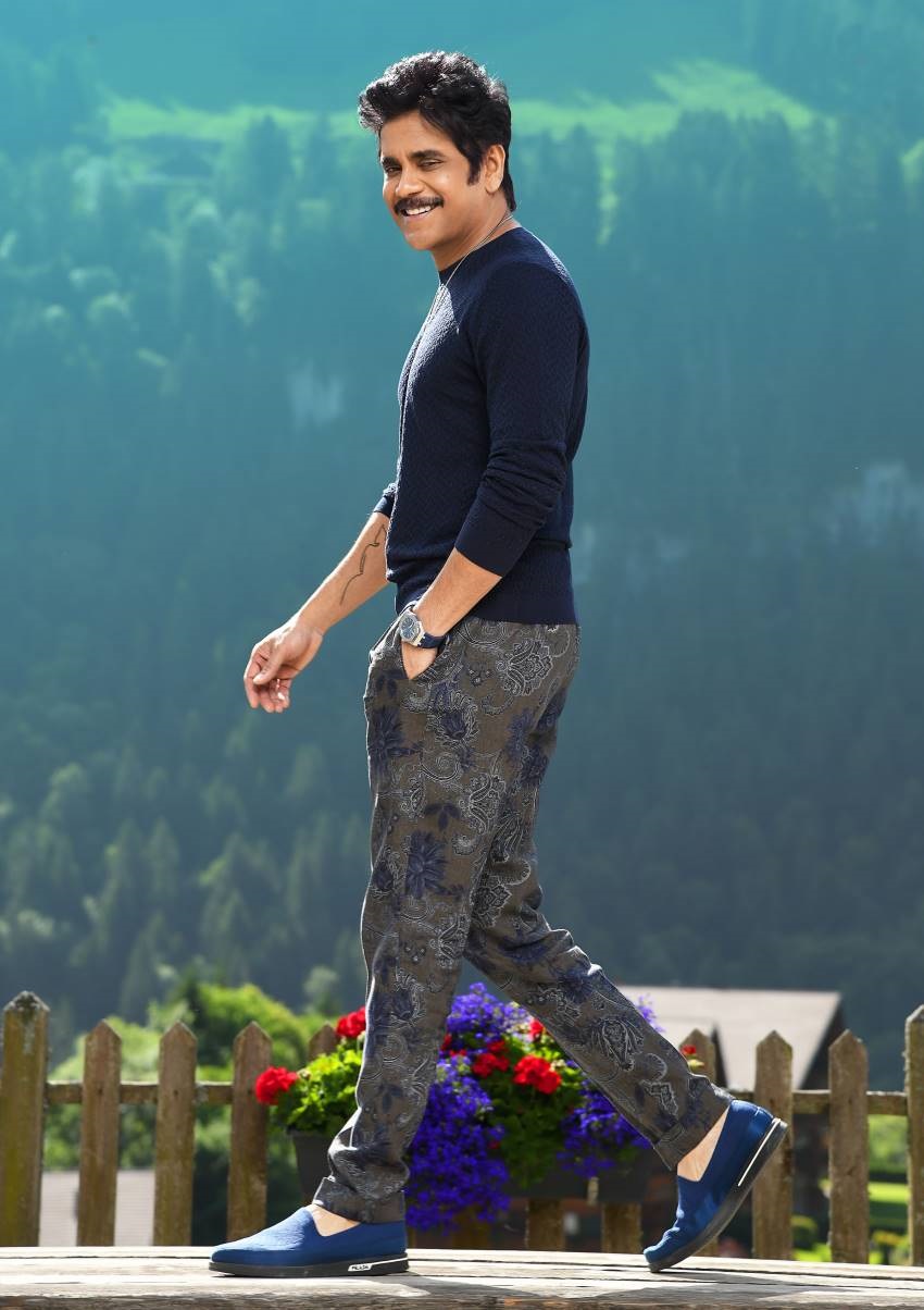 Rakul Preet And Nagarjuna Hot Stills From Manmadhudu 2 Movie