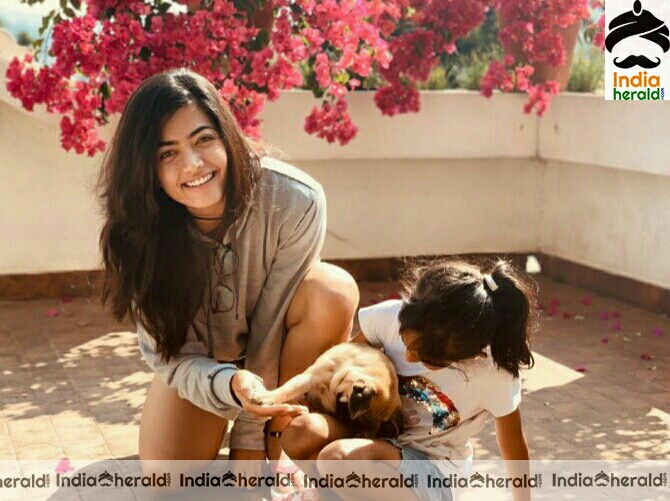 Rashmika Mandanna Cute Quarantine Photos