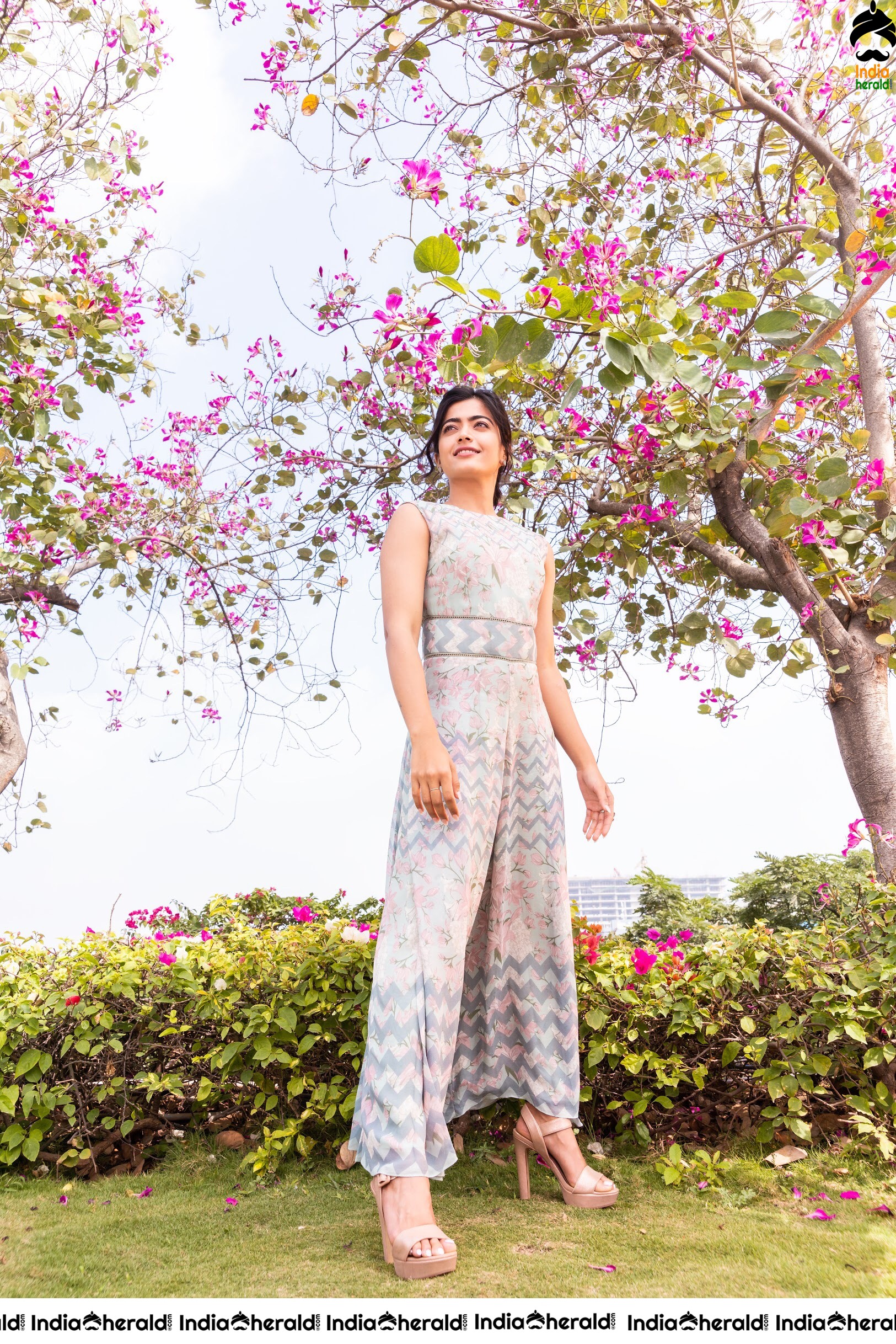 Rashmika Mandanna Latest Seducing Photoshoot