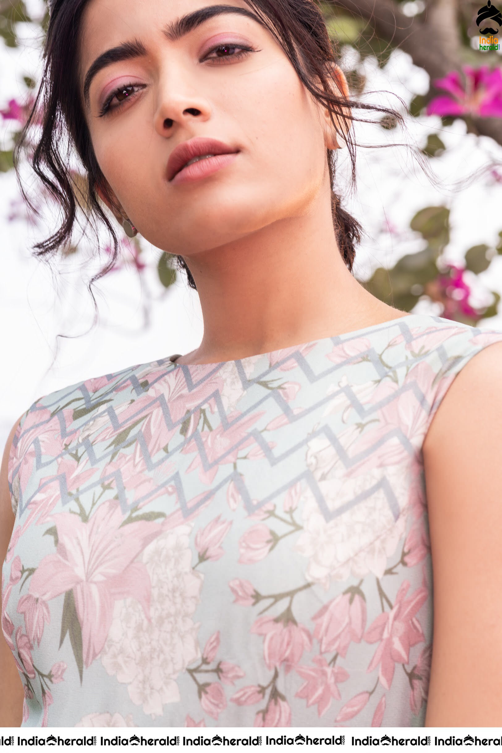 Rashmika Mandanna Latest Seducing Photoshoot