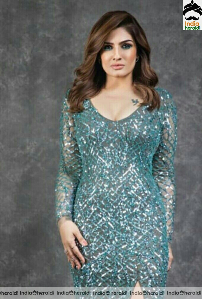 Raveena Tandon Hot Compilation Photostills