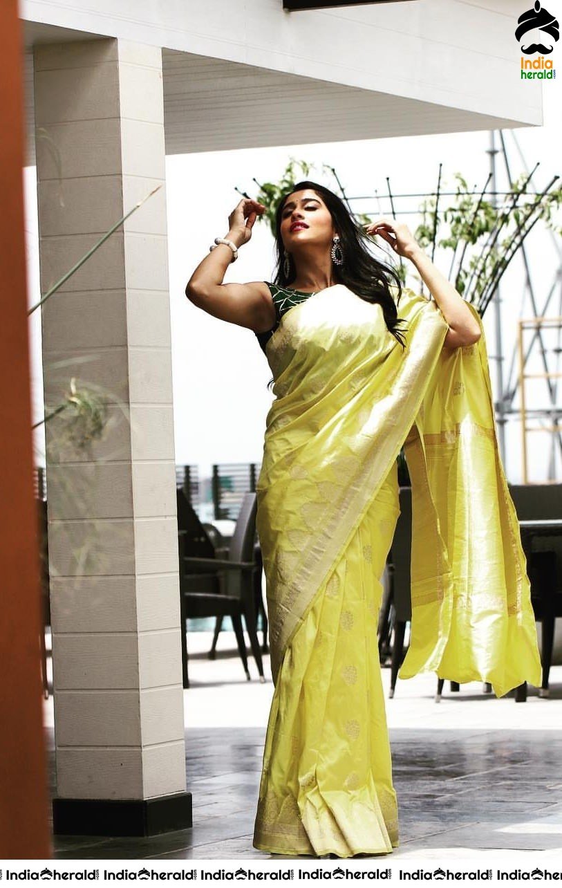 Regina Cassandra Latest Hot Photos in Saree and Sleeveless Blouse