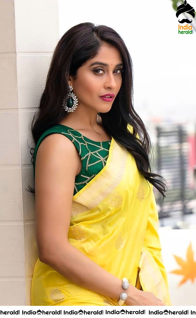 Regina Cassandra Latest Hot Photos in Saree and Sleeveless Blouse